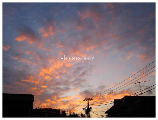 空写真