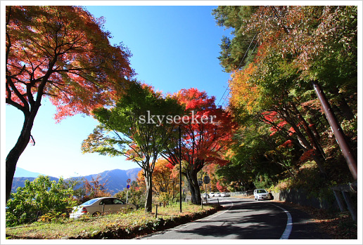 富士山紅葉写真