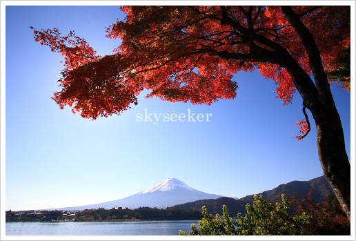 富士山紅葉写真