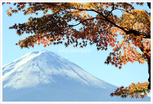 富士山紅葉写真