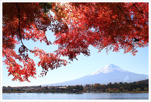 富士山紅葉写真