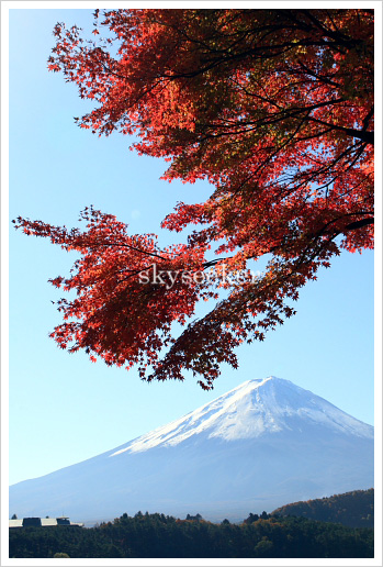 富士山紅葉写真