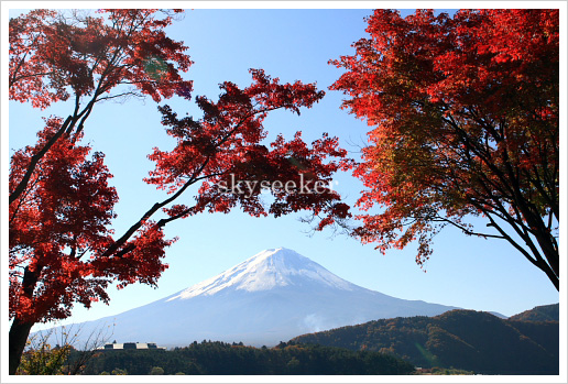 富士山紅葉写真