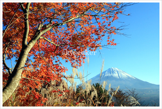 富士山紅葉写真