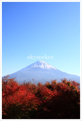 富士山紅葉写真