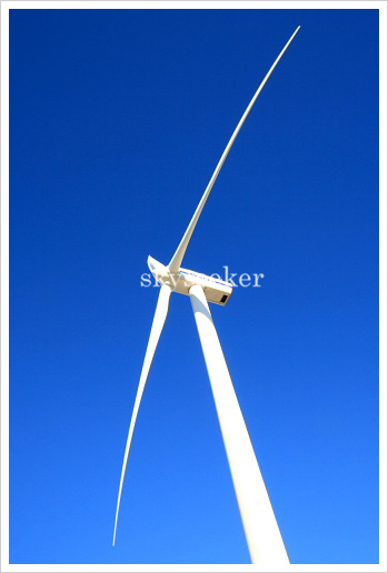 風車の写真