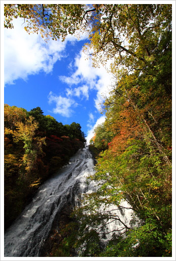 奥日光の紅葉