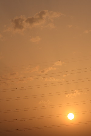 IMG_4482.JPG