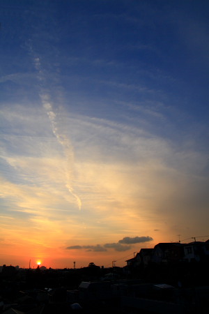 IMG_5290.JPG