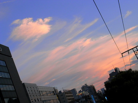 Exif_JPEG_PICTURE                                              